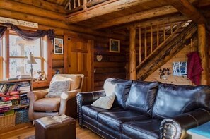 Télévision, cheminée, lecteur de DVD, livres