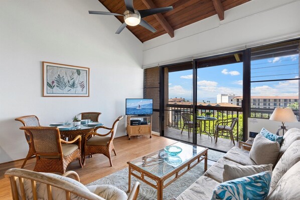 Smart TV, DVD player, books, stereo