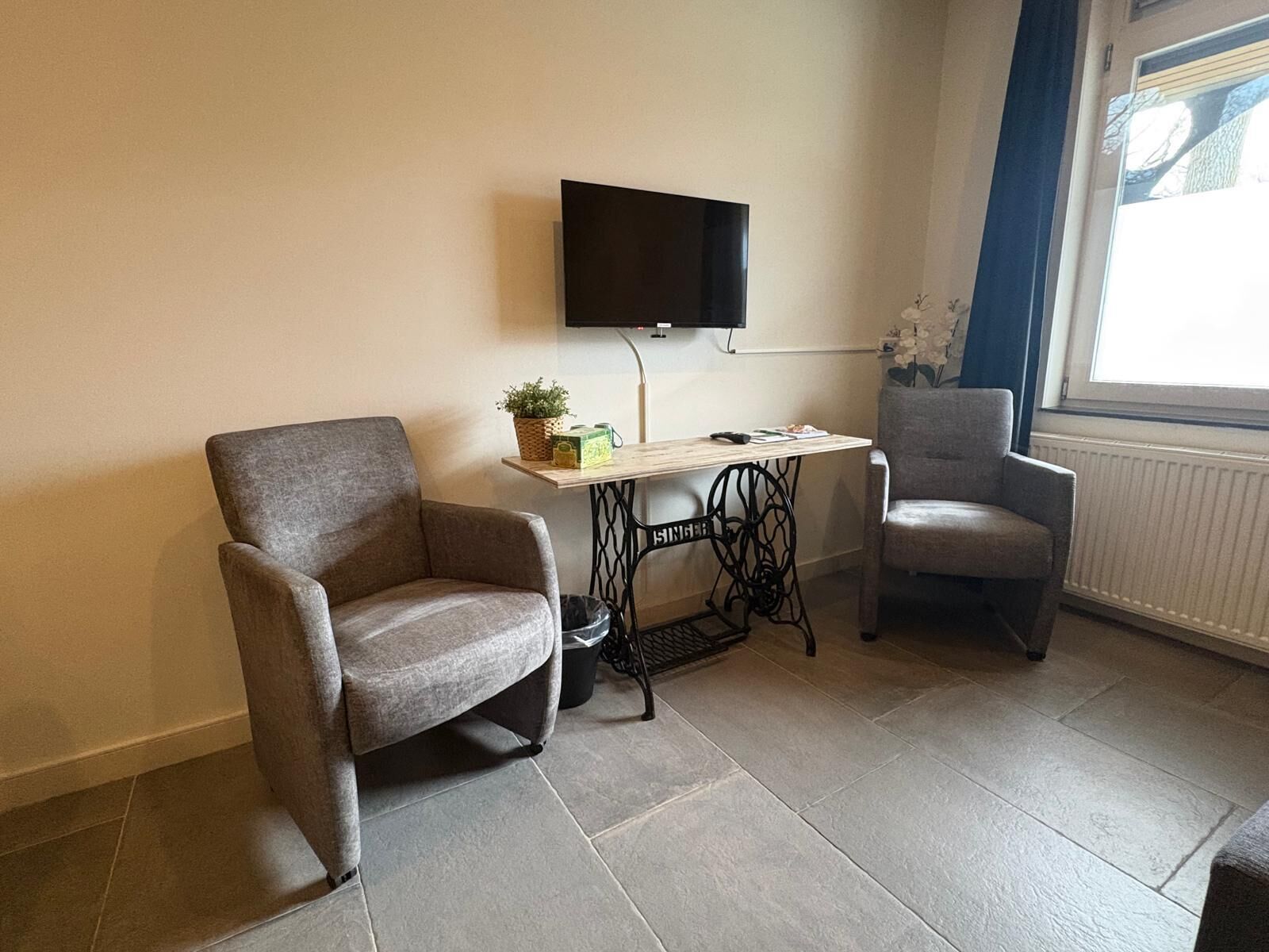 Una habitación con dos sillones grises, una mesita con una planta, un televisor montado en la pared y una ventana con vistas a árboles.