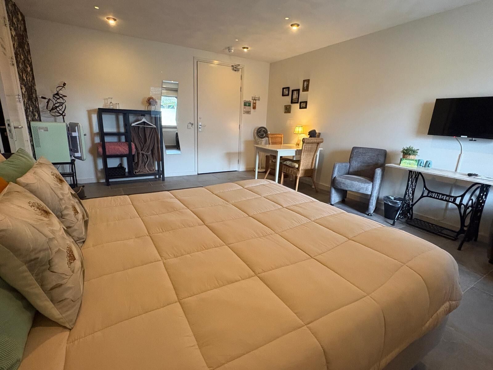 A hotel room with a large bed, a desk, a chair, a television, and a sewing machine.