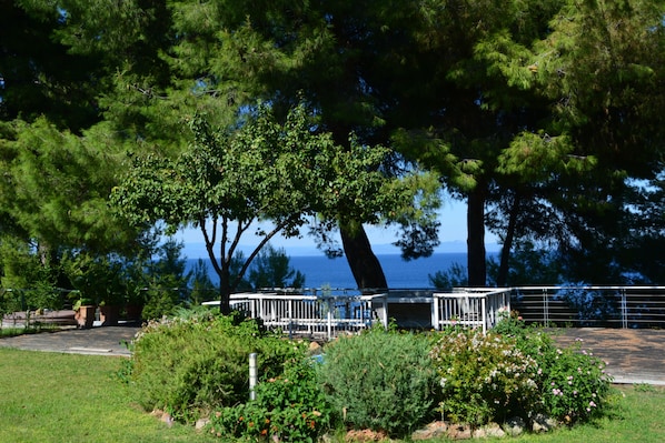 Garden - Luxury Maisonette in Halkidiki (Kassandra)