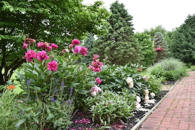The Marshall House