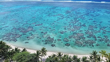 鄰近海灘