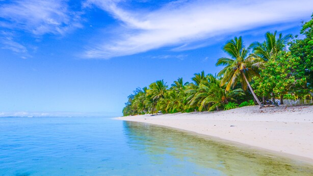 A beach with clear turquoise water, white sand, and palm trees. - Makayla Palms (Rarotonga)