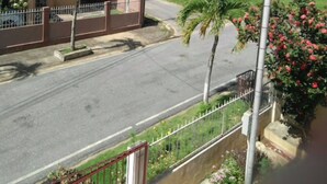 Una calle residencial con una casa, una palmera y un árbol grande al fondo.