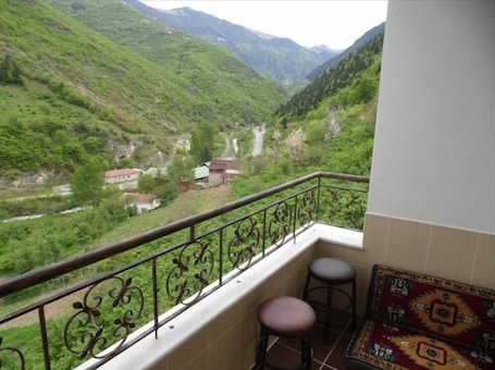 Vista desde la propiedad