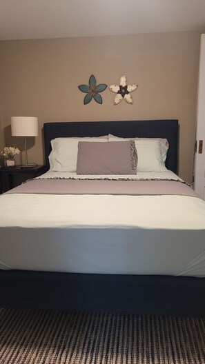 1 quarto, escrivaninha, ferros/tábuas de passar roupa, Wi-Fi de cortesia