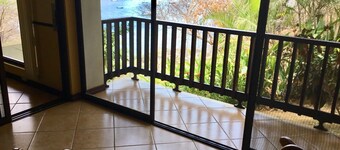 Spectacular Ocean View, beachfront with 3 swimming pools, snorkel gear included