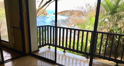 Spectacular Ocean View, beachfront with 3 swimming pools, snorkel gear included