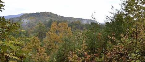 Metsäinen vuoristomaisema, jossa on tiheää kasvillisuutta ja taustalla kohoava kukkula.