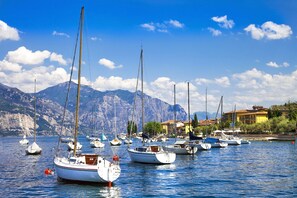 A marina with multiple sailboats docked, a mountainous backdrop, and buildings along the shore.