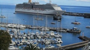 Un grand navire de croisière a accosté dans une marina où se trouvaient de nombreux petits bateaux et yachts.