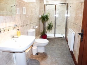 Combined shower/bathtub, hair dryer, towels, soap