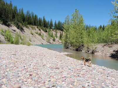 Riverfront Home Bordering GLACIER NATIONAL PARK on 9 acres!!  