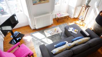 Televisión, chimenea, reproductor de DVD y libros