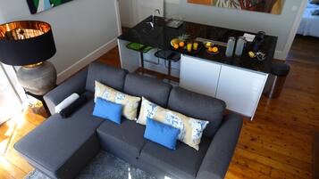 Televisión, chimenea, reproductor de DVD y libros