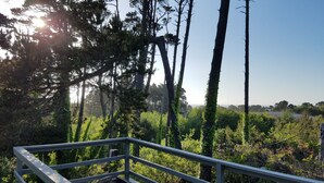 Una terraza con baranda metálica que da a un área boscosa con árboles altos y cielo despejado.