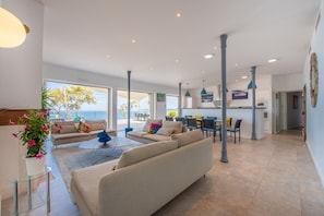 电视、壁炉、DVD 播放器、立体声音响