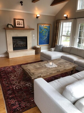 TV, fireplace, video games, DVD player