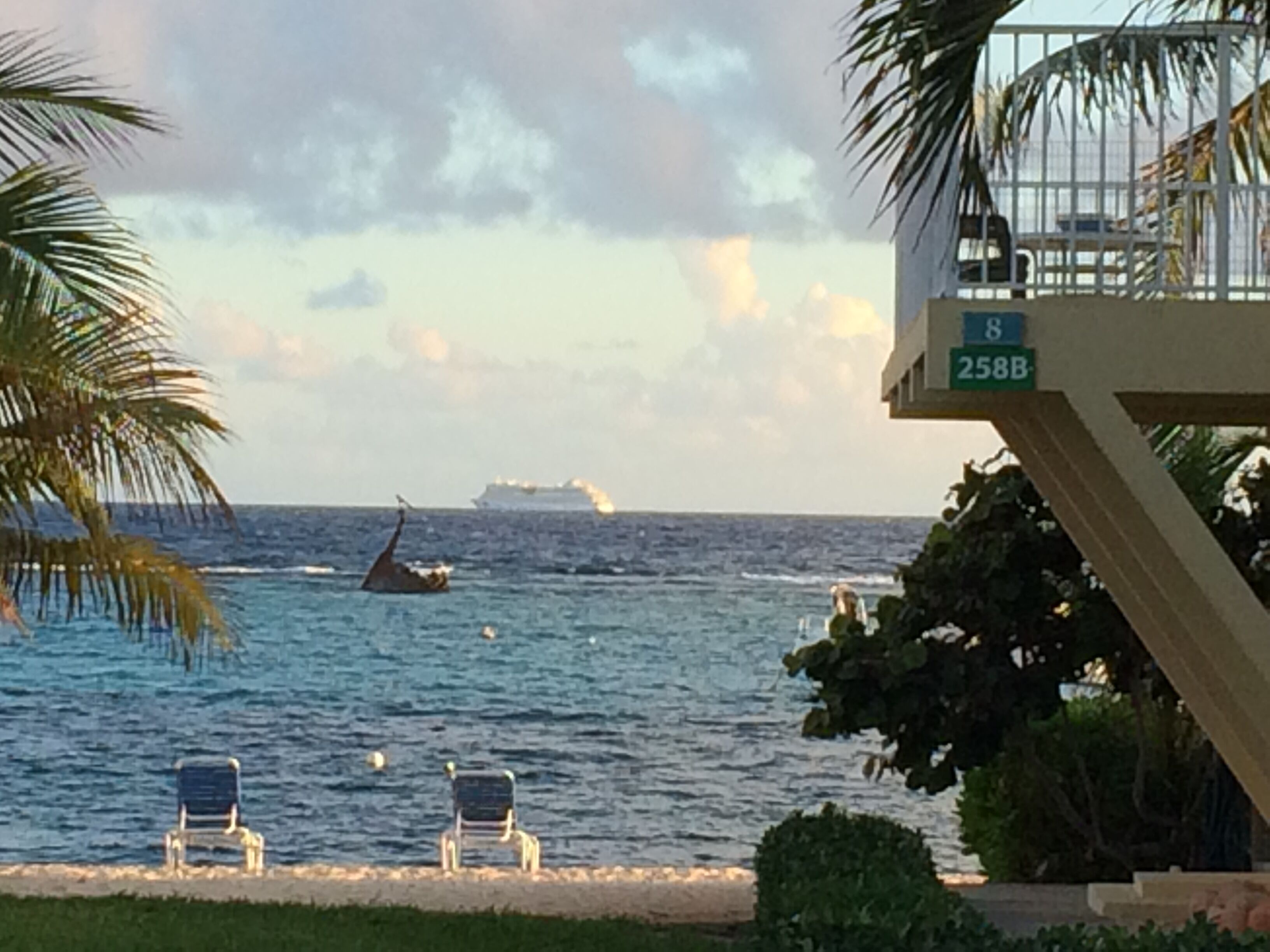 Une plage avec une vue sur un poste de surveillance des sauveteurs, des palmiers et un navire au loin.
