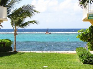 A beach view with a palm tree, ocean waves, and a lifeguard tower. - Stop Your Search-paradise Found! Caribbean Paradise-600 Ft. of Private Beach! (George Town)