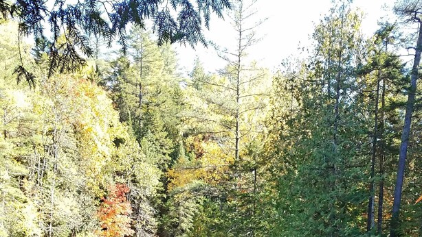 A person standing on a wooden bridge overlooking a waterfall surrounded by autumn foliage.