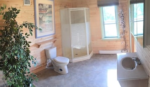 Shower, hair dryer, towels, soap