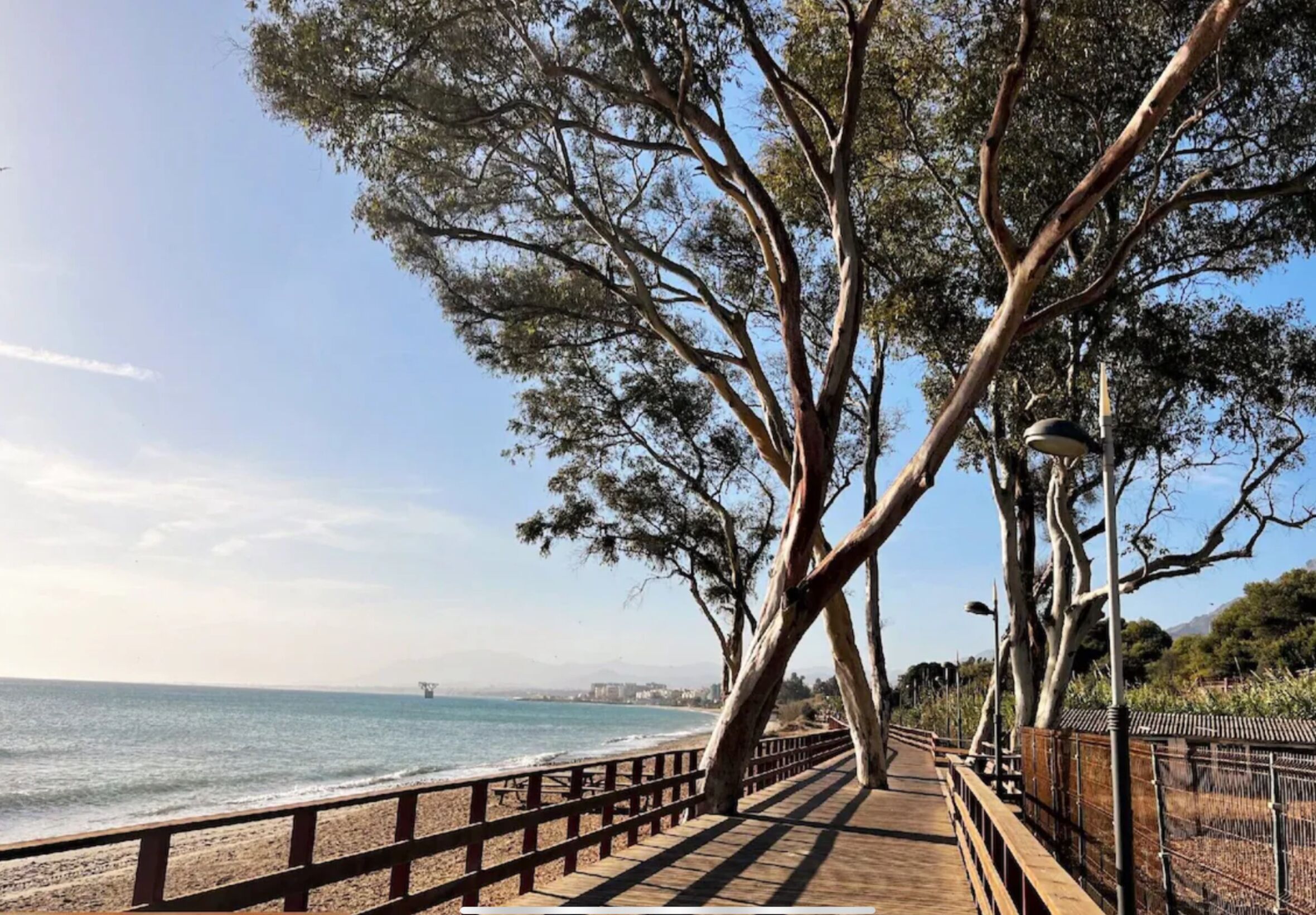 Un muelle de madera que conduce a una playa, con barandilla metálica y árboles.