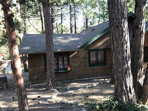 Property grounds - Mountain Cabin - Old Idyllwild Charm! Dog friendly. Minutes from the village. (Idyllwild-Pine Cove)