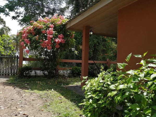 Relax under the shaded structure surrounded by lush greenery.