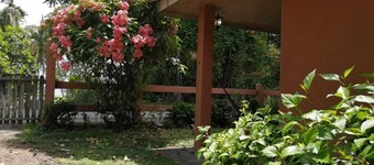 TROPICAL PEACH LITTLE HOUSE