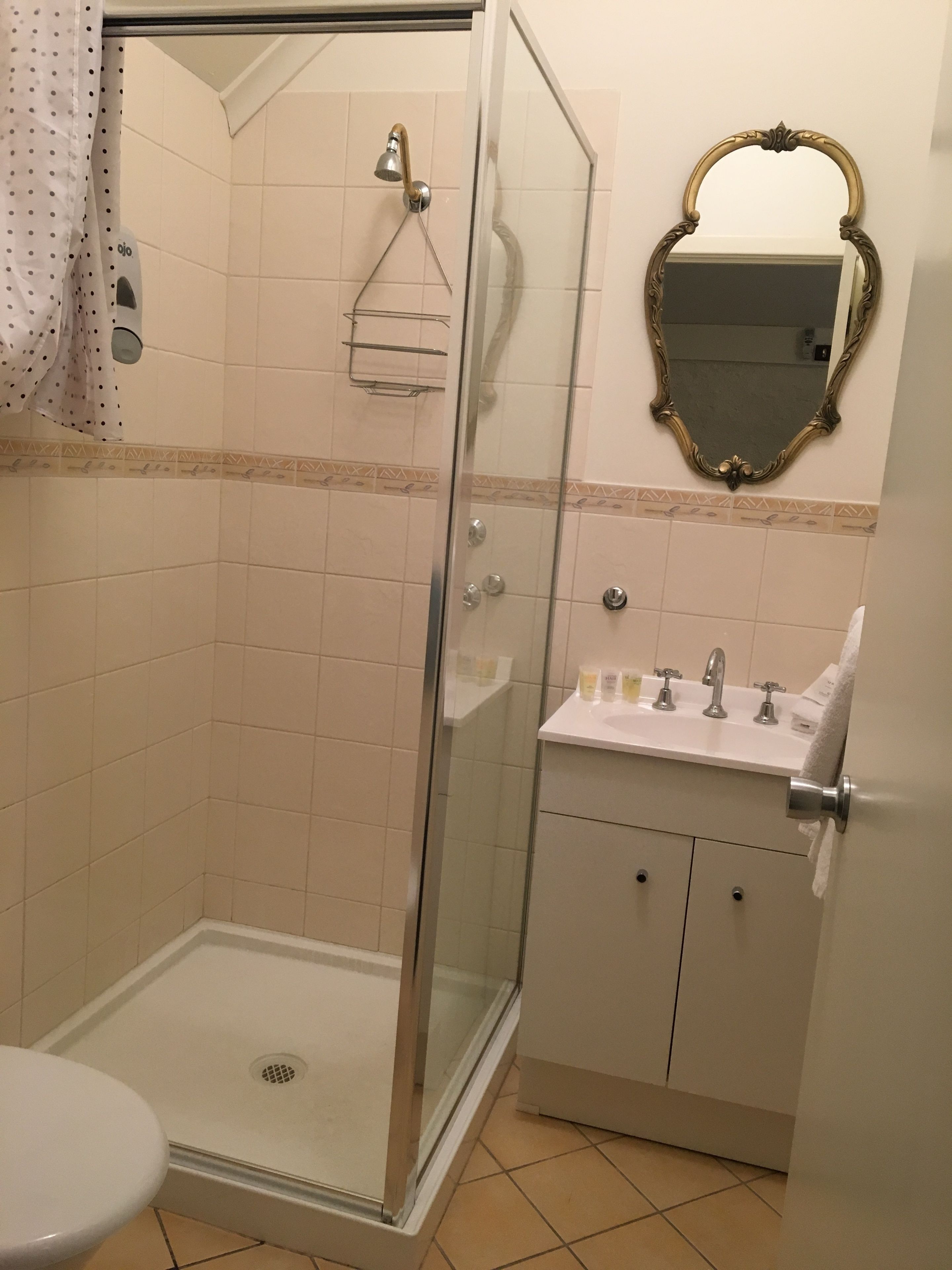 A bathroom with a glass-enclosed shower, a sink with a mirror above it, and a toilet.