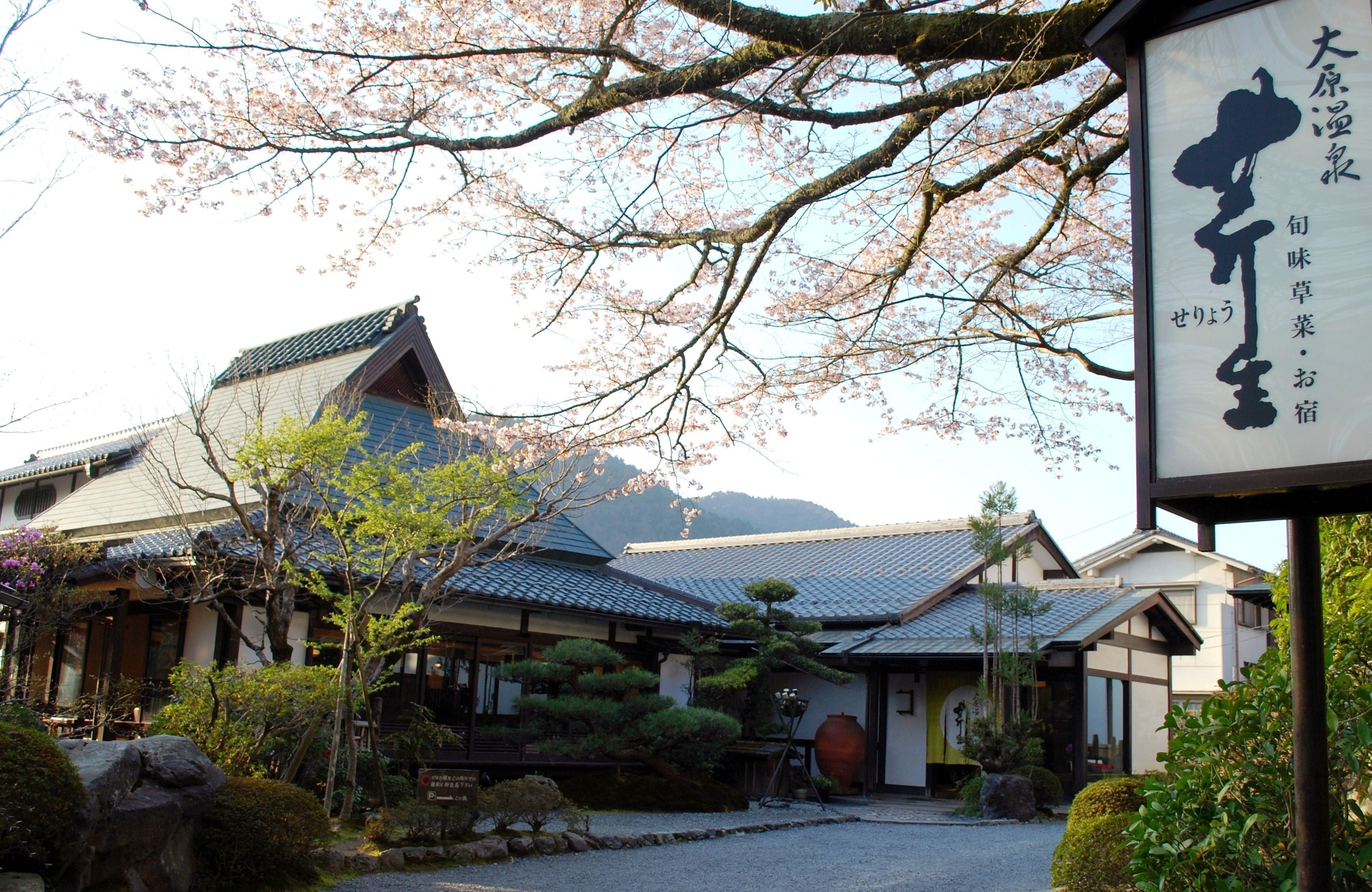 A traditional Japanese building with a tiled roof, surrounded by well-maintained gardens and cherry blossoms.