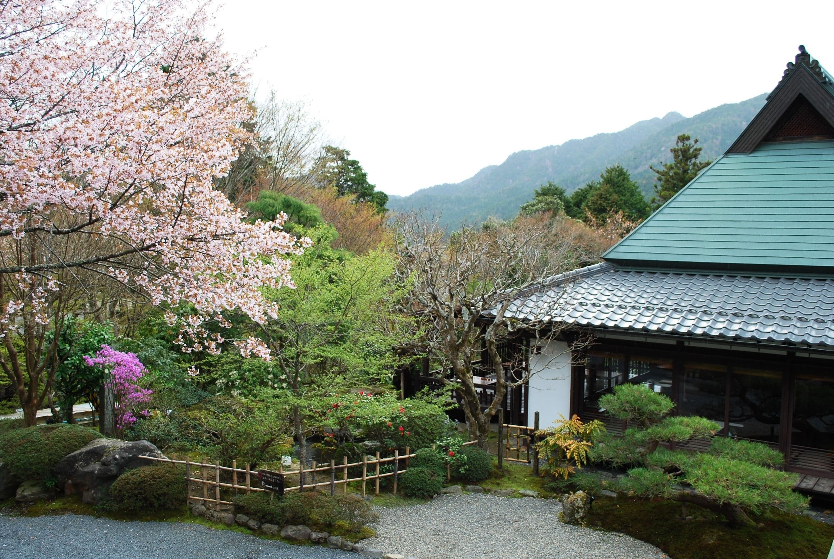 A traditional Japanese building with a green roof, surrounded by a well-maintained garden with cherry blossoms and various shrubs.