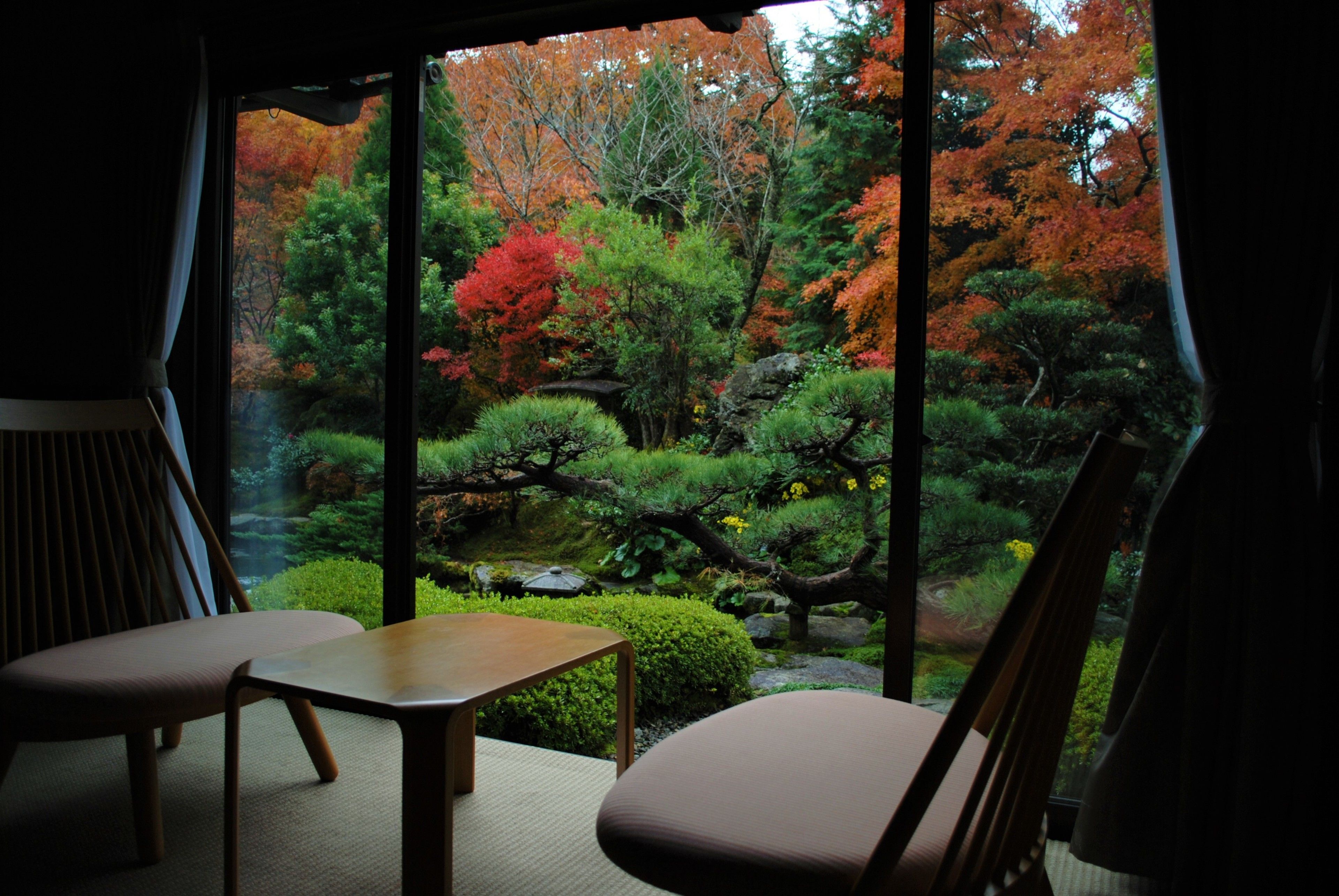 Una habitación con vista a un jardín con varios árboles y un pequeño estanque. Hay dos sillas y una mesa en la habitación.