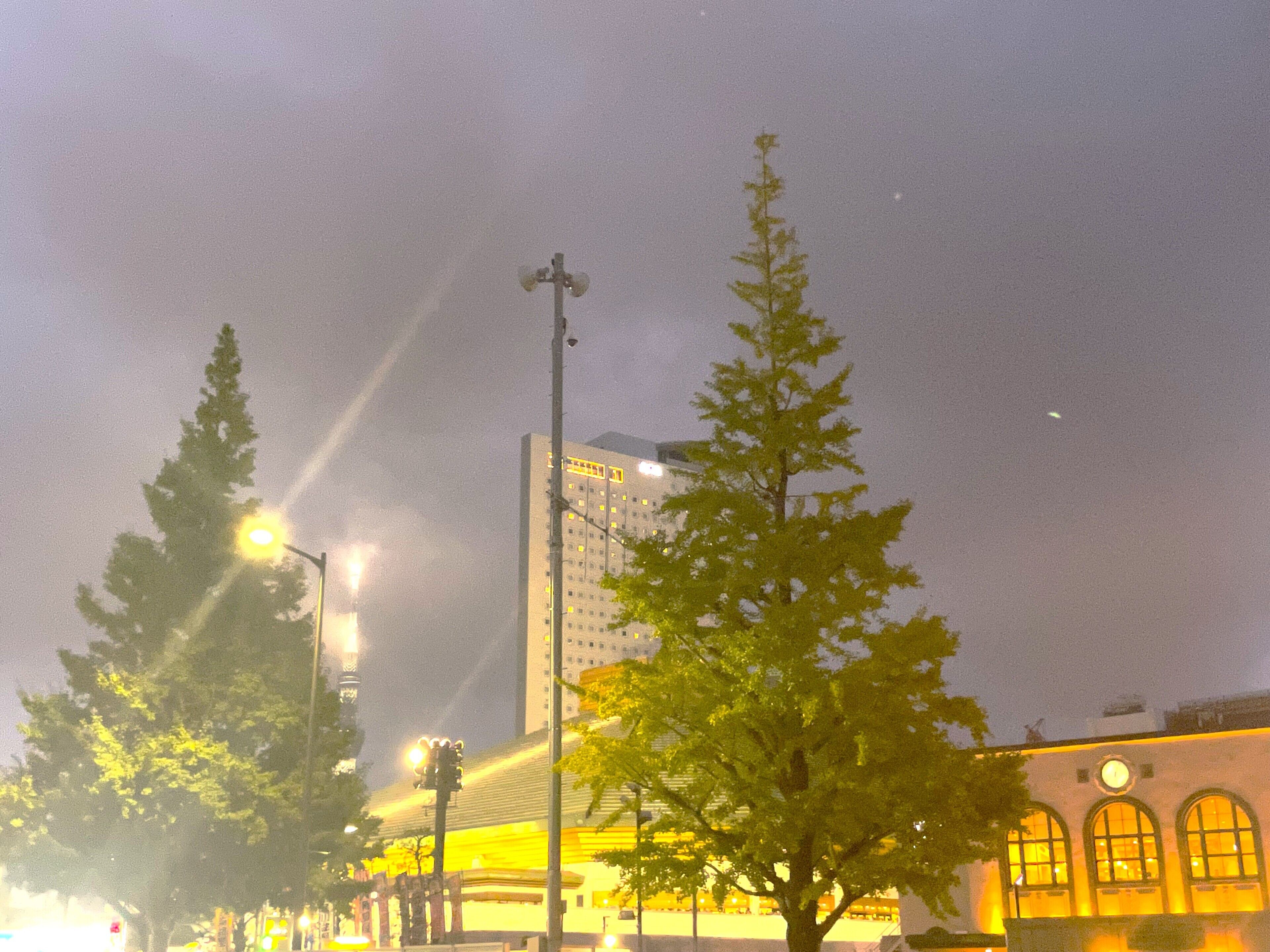 city view from property