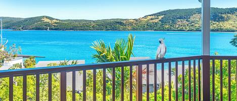 House, 3 Bedrooms | Terrace/patio