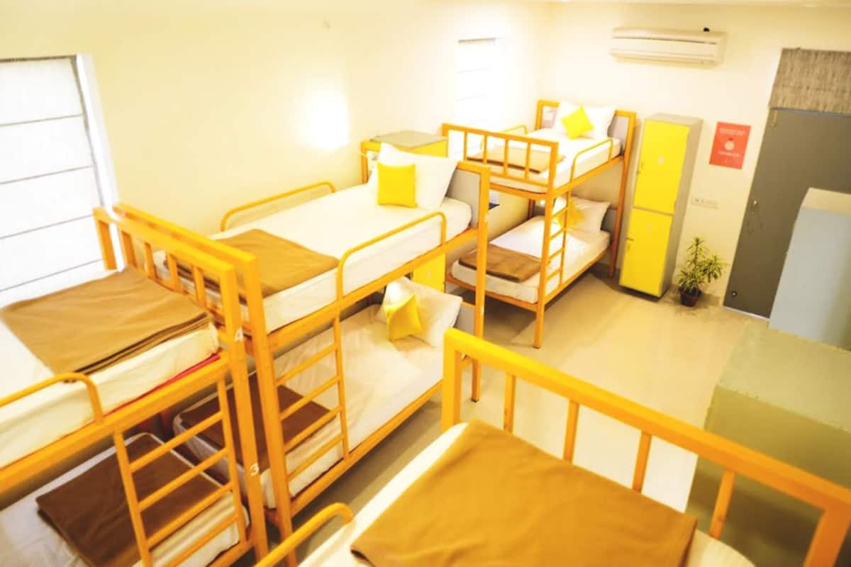 Una habitación tipo dormitorio con literas, un escritorio, una silla, un armario y una planta en maceta.