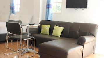 Flat-screen TV