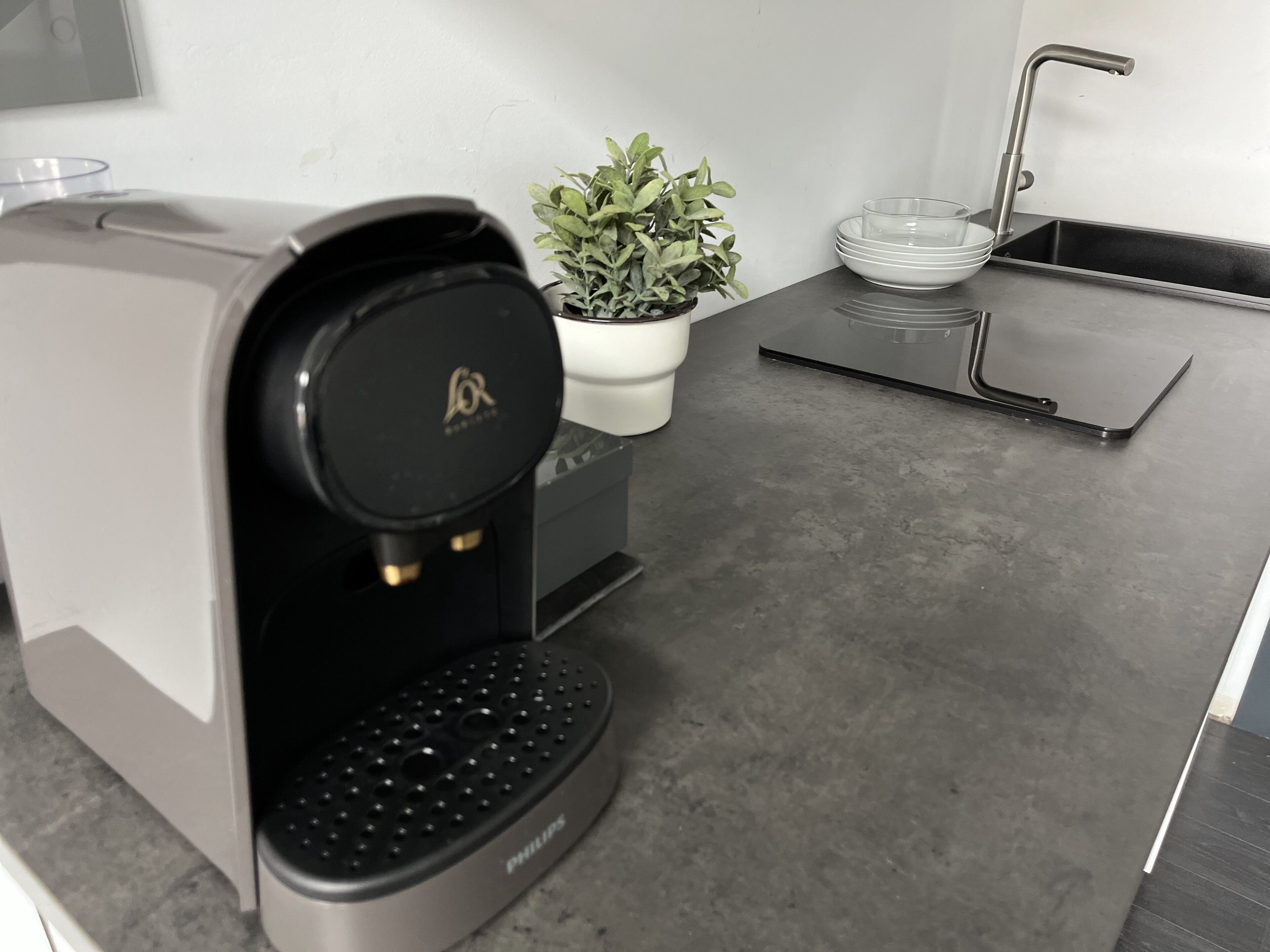 Une cuisine moderne équipée d’une machine à café, d’une petite plante en pot et d’un évier.