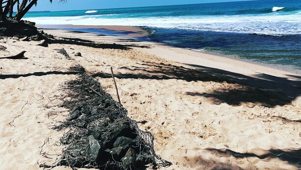 Una playa con agua azul cristalina, palmeras y una orilla arenosa.
