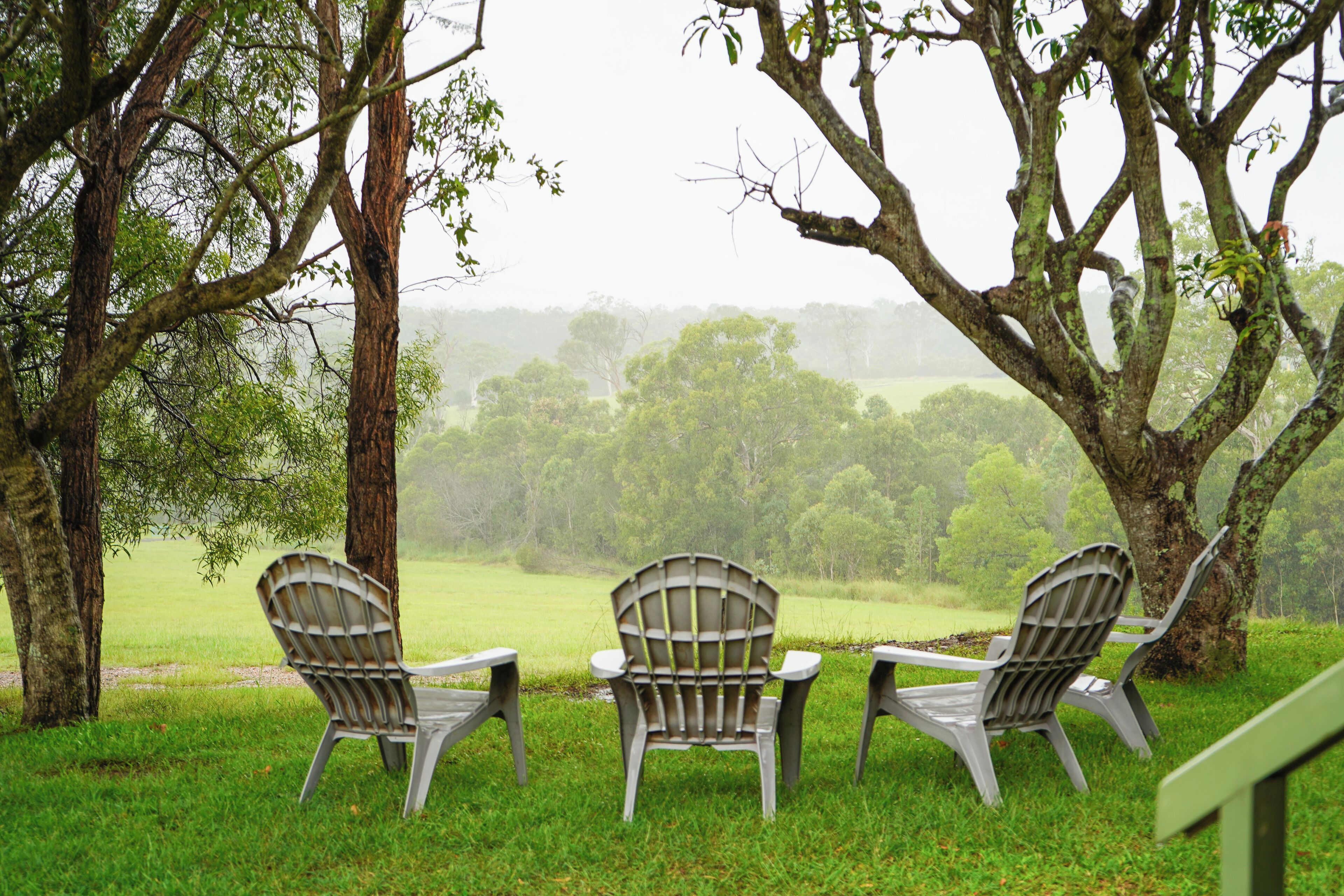 Winemaker's Cottage with Free Parking | Utsikt fra rommet