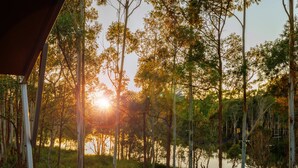 A view from a covered area overlooking a forested area with a body of water in the background. - Sanctuary By Sirromet (Mount Cotton)