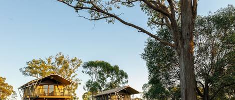 A treehouse-style building with a deck, surrounded by trees and grass.