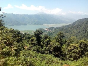 Área da propriedade