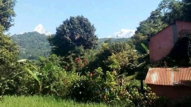 Paisatge rural amb una casa que té teulada metàl·lica ondulada, envoltat de vegetació i arbres frondosos.