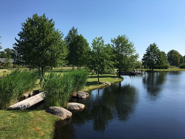 Ein friedlicher See mit einem Holzsteg, üppigem Grün und wolkenlosem, blauem Himmel.