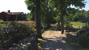 Un sentier rural bordé de murs de pierre et d’arbustes en fleurs, qui mène à un bâtiment rouge doté d’une cheminée.