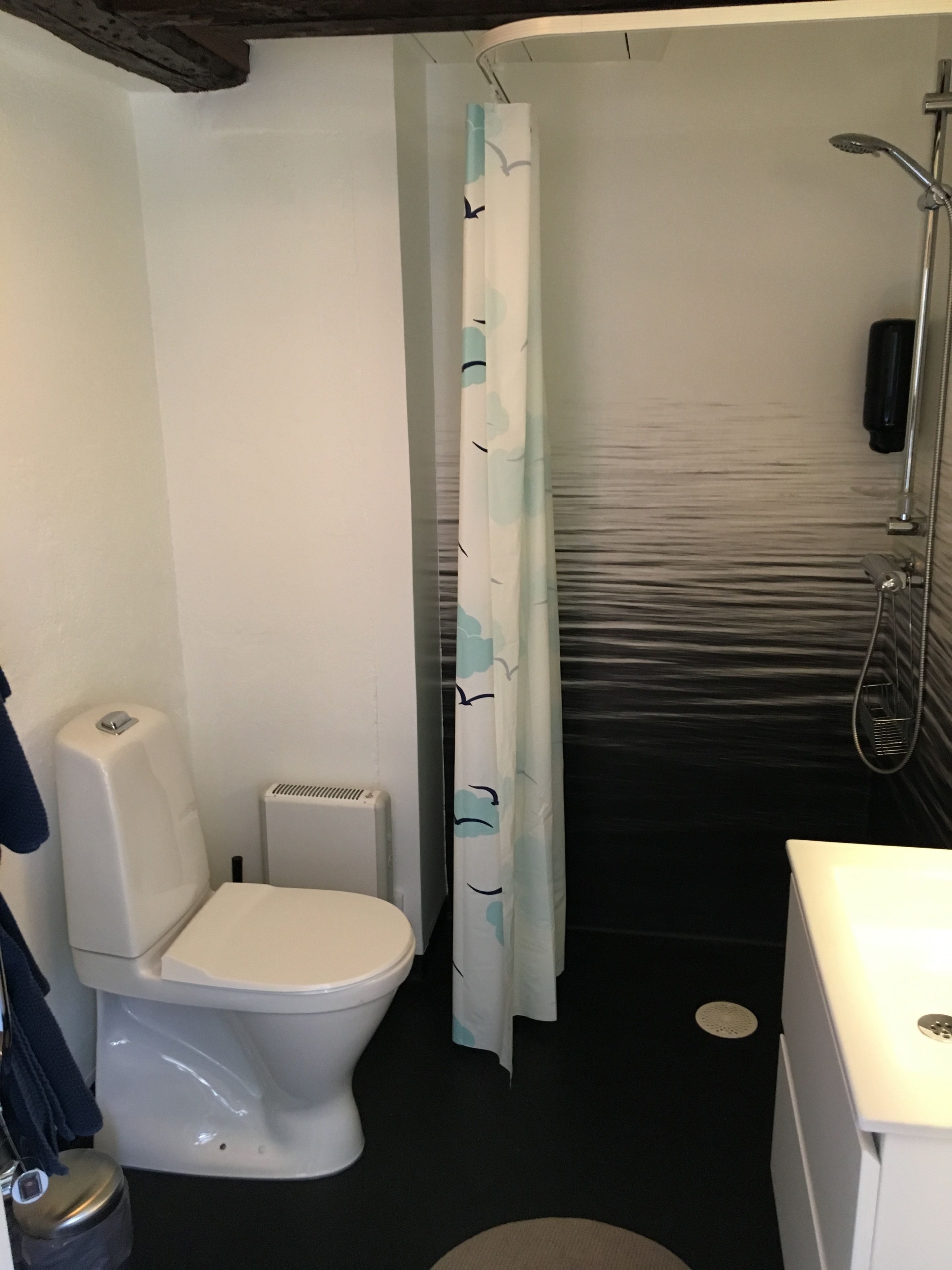 A bathroom with a toilet, a shower, and a sink.