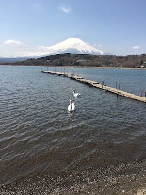 Lago